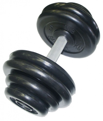 Неразборная черная гантель MB Barbell MB-FdbM-B51